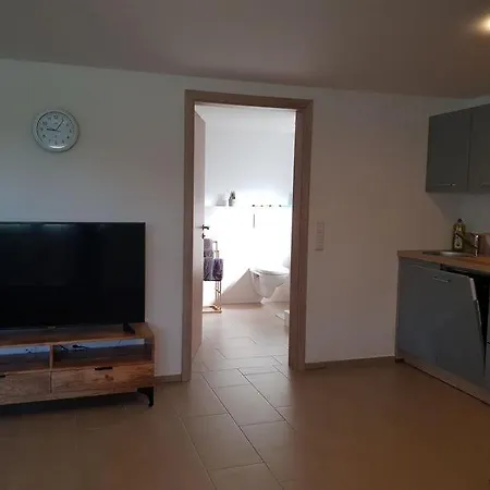 Schmid דירה זאלם